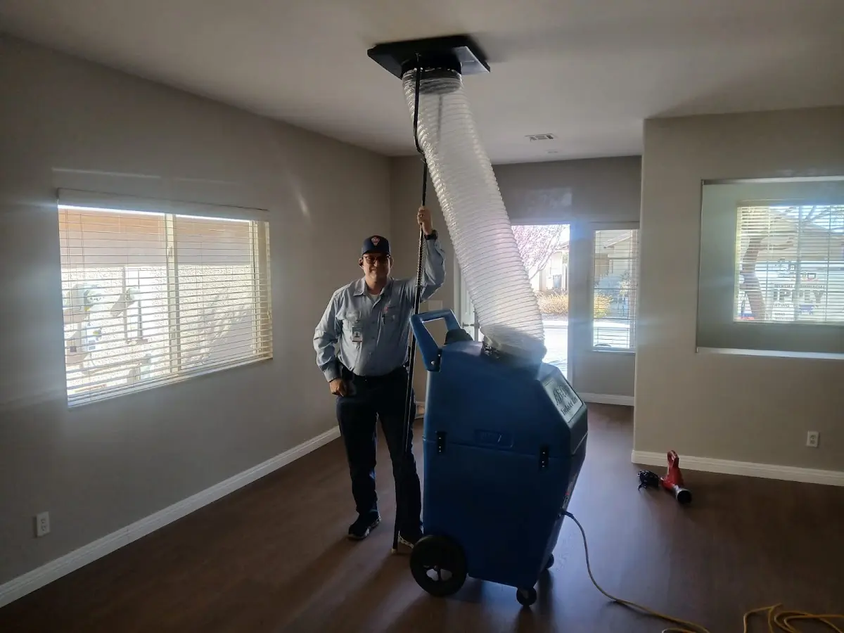 Professional Dryer Vent Cleaning work inside a Brandon home